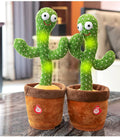 Rechargeable Dancing Cactus Toy with box